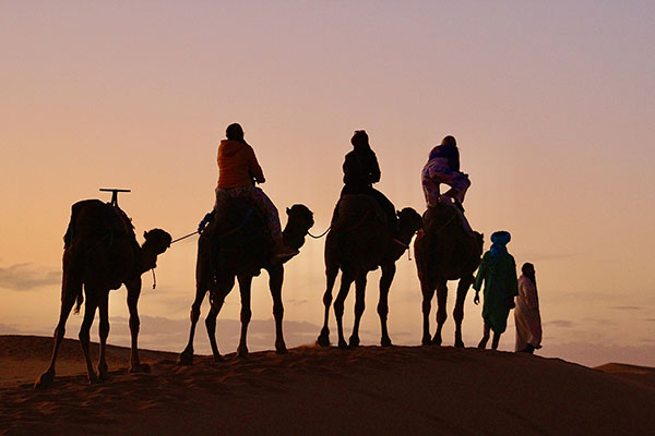A row of camels with riders on a ridge as the sun sets.