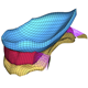 knee meniscus