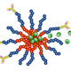 targeted drug delivery