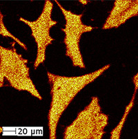 secondary ion mass