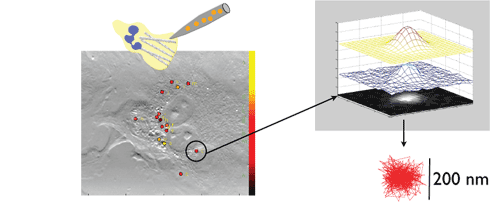 particle tracking approach