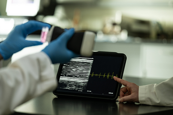 A close up of a handheld ultrasound wand and output screen.