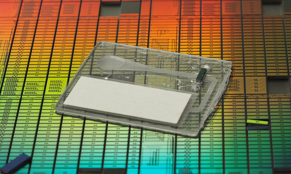 Prototype of a disposable integrated photonic chip that helps detect viruses like COVID-19 and its variants.