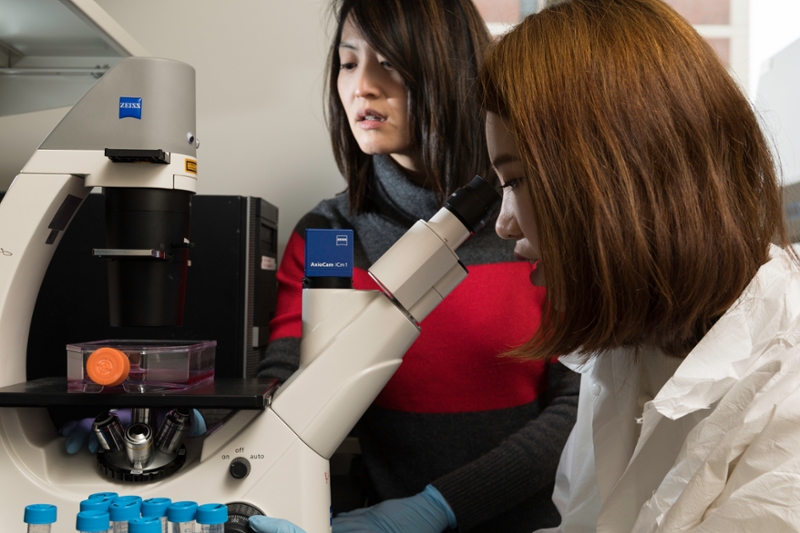 Students in Lab