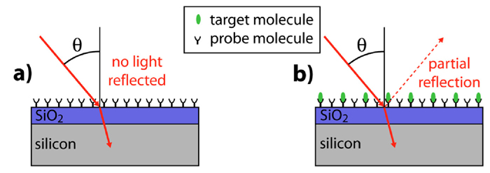 schematic arrayed