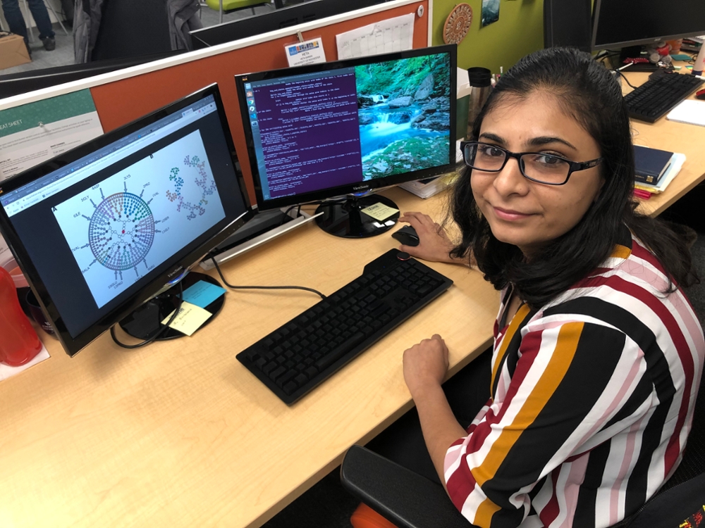 PhD student Heta Gandhi siting at a computer.