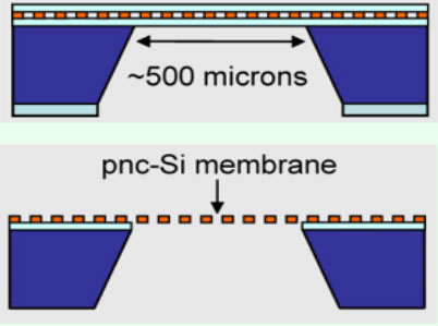 membrane