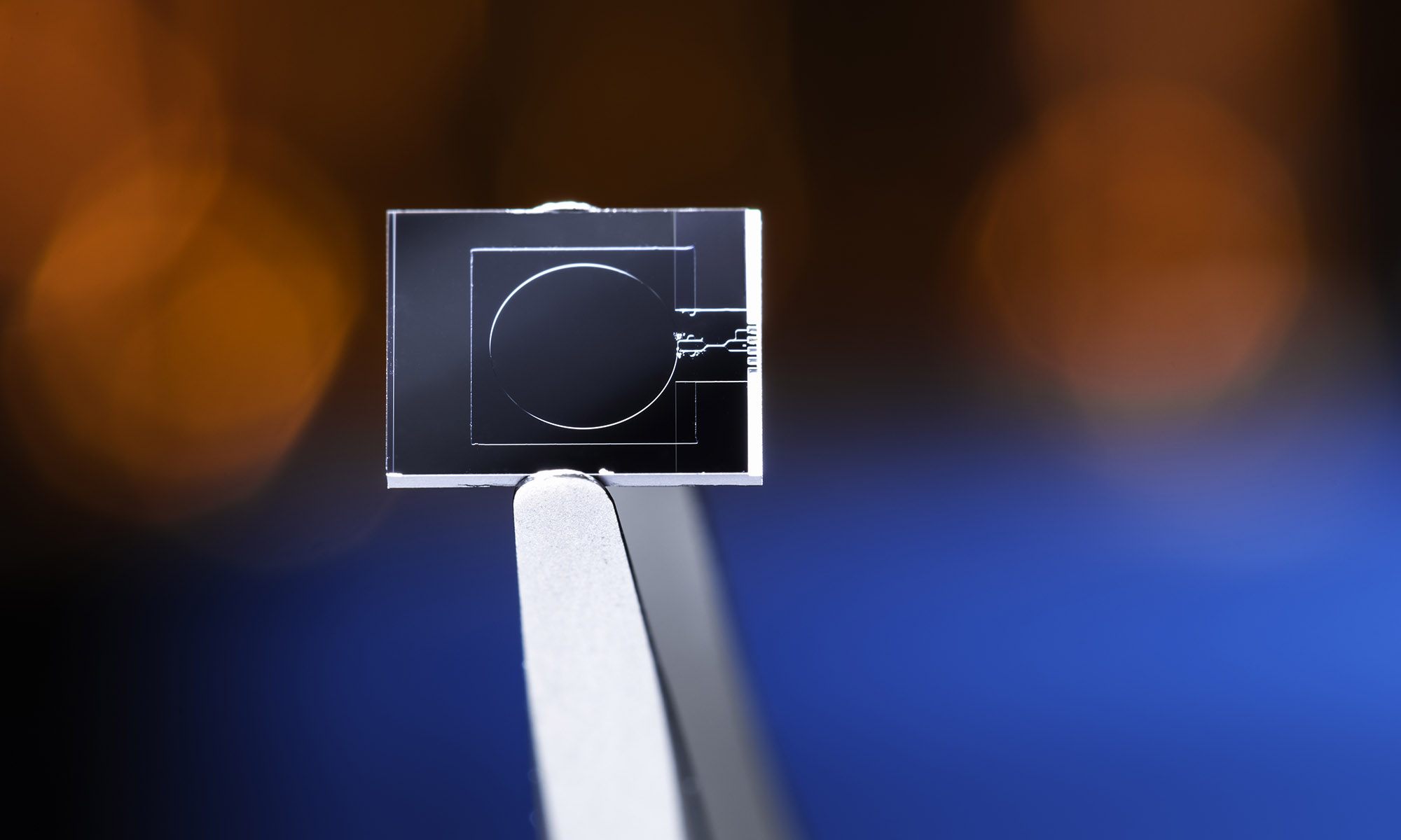 Closeup image of a photonic chip that could use weak value amplification, in front of a blurred red and blue background.