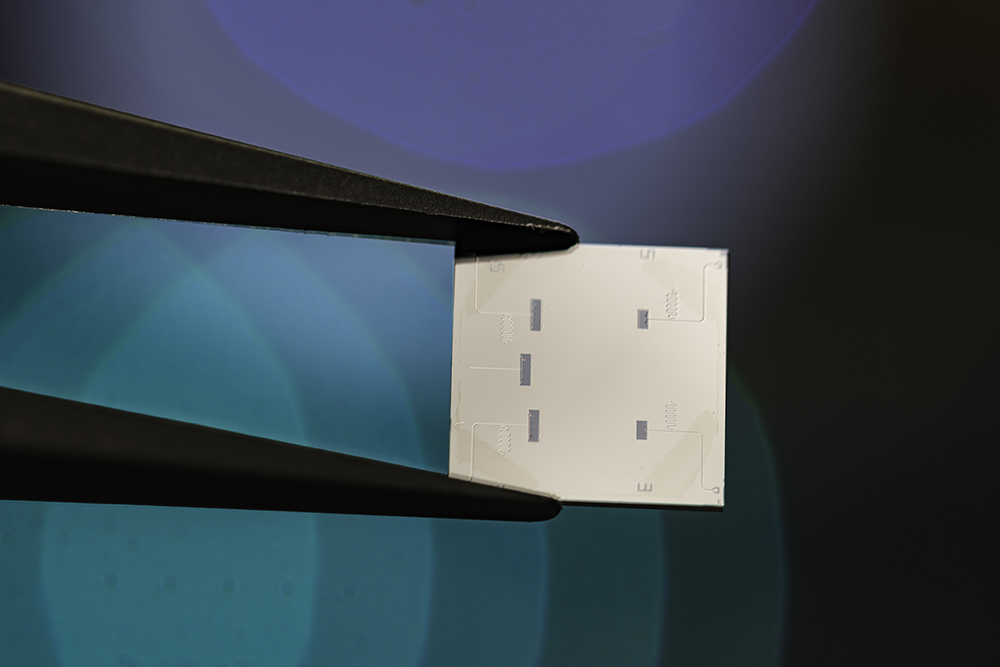 Superconducting circuit (Niobium on Silicon substrate) fabricated at the University of Rochester cleanroom (URNano).