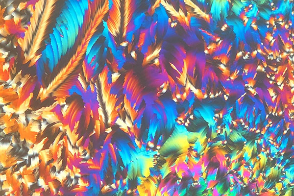Feather-like display of crystals under a microscope.