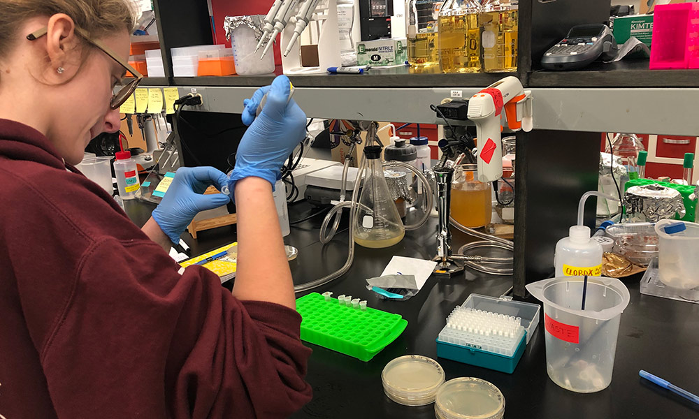 A student working with a pipette in a lab.