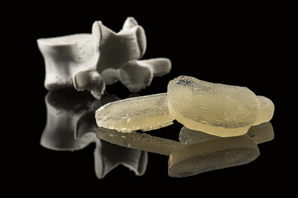 A 3D printed vertebrae and spinal discs.