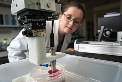 A student working in a lab.