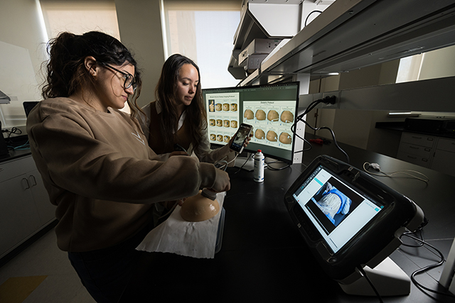 A student demonstrates an ultrasound scanning protocol for breast cancer screening to another student.