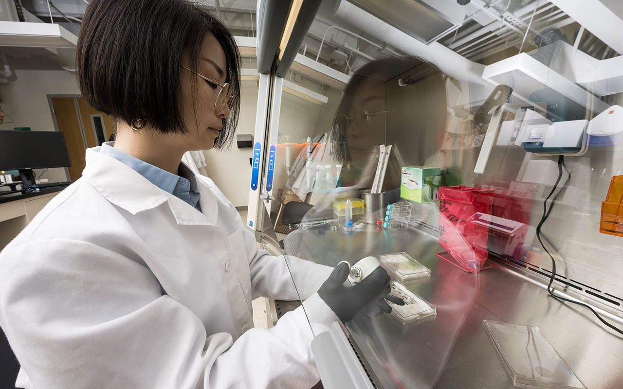 Biomedical engineering PhD student Kaihua Chen, a member of URochester professor James McGrath’s team, prepares tissue chips for experiments.