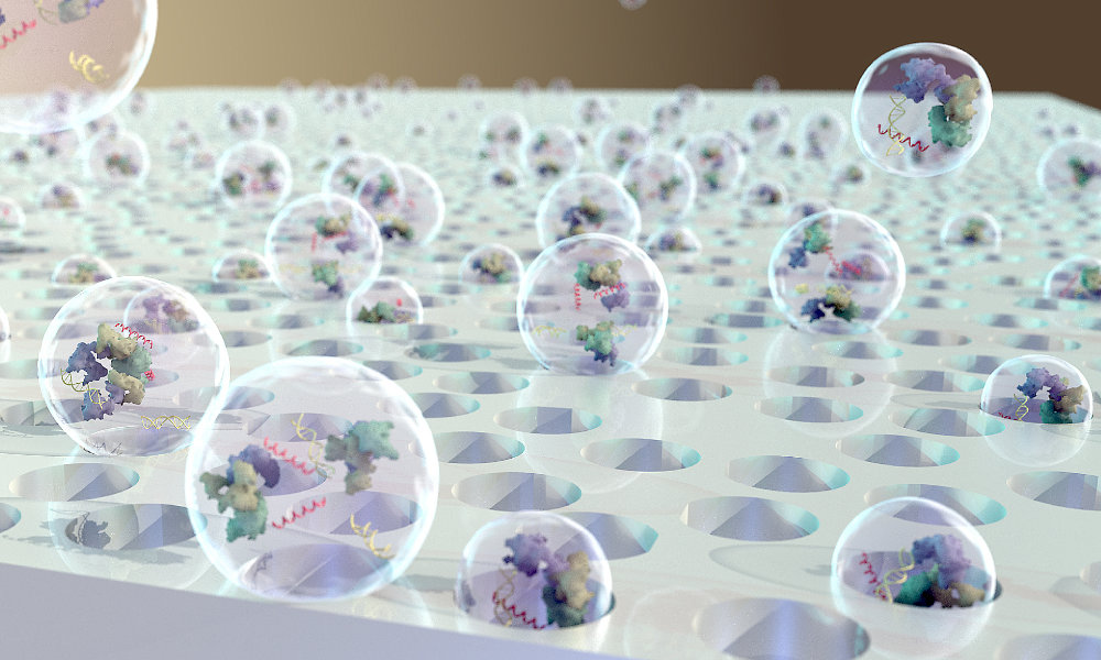 A nanomembrane developed by the McGrath Lab is able to capture individual extracellular vesicles, which allowed University of Chicago researchers to study their functionality.