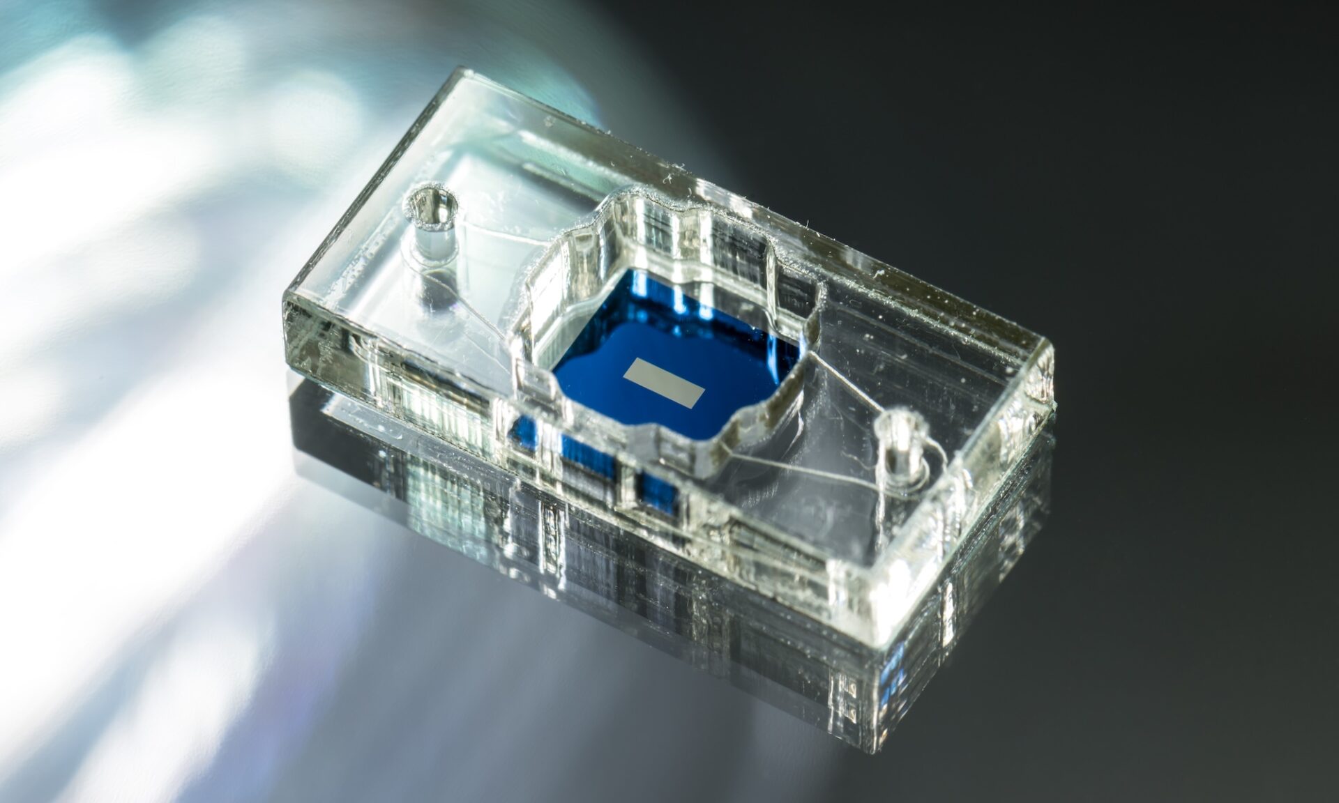 A BETTER DRUG DISCOVERY TOOL: High-tech alternatives to animal testing, modular µSiM (m-µSiM) tissue chip platform components are mass-produced and primarily acrylic, which allows for the assembly of highly reproducible devices. (URochester photo / J. Adam Fenster)