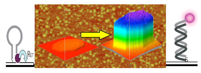 silver nanoparticles