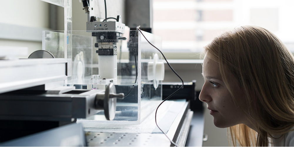 A student doing research in a lab.