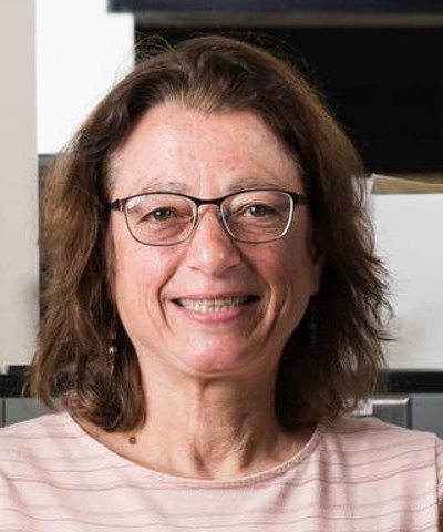 Headshot of Lisa A. DeLouise.