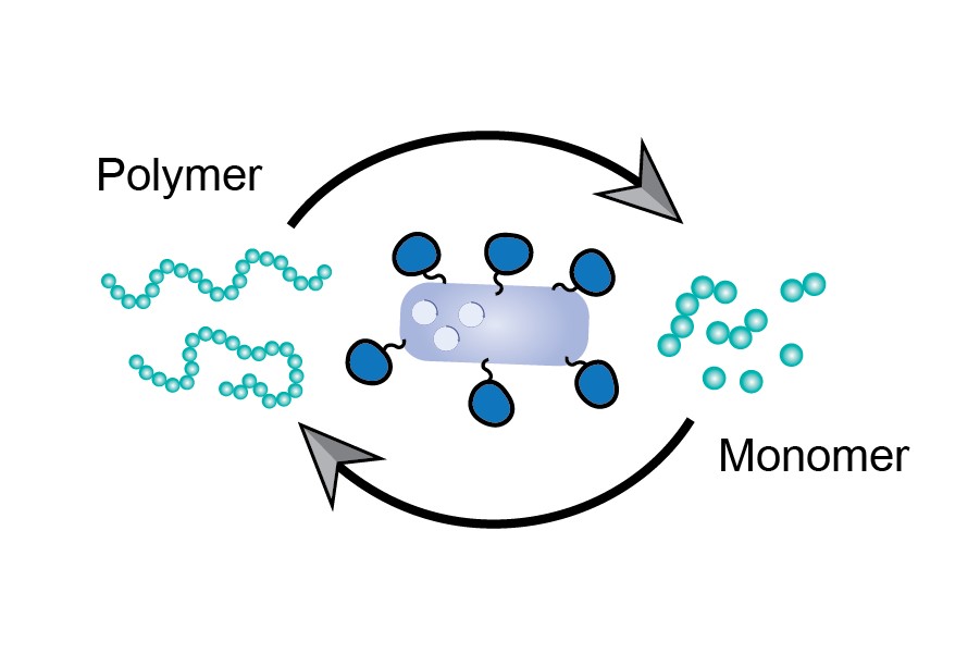 polymer monomer
