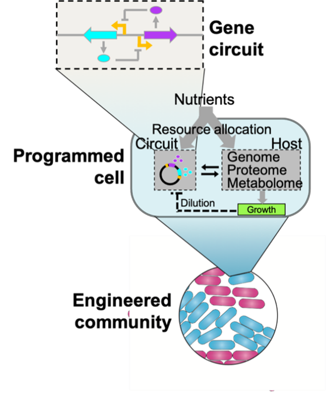 A graphic image showing a process.