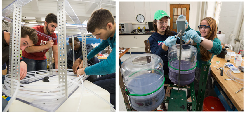 Undergraduates working on hands-on projects during senior lab.