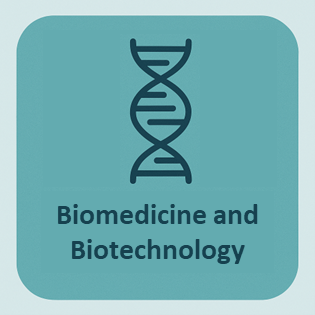 Biomedicine and biotechnology written with a strand of DNA.