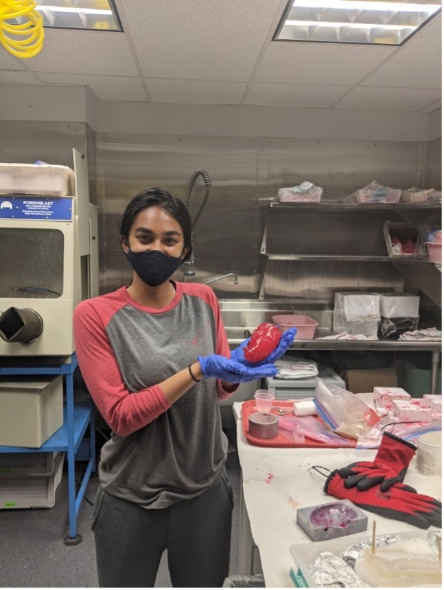 A student holding a kidney.