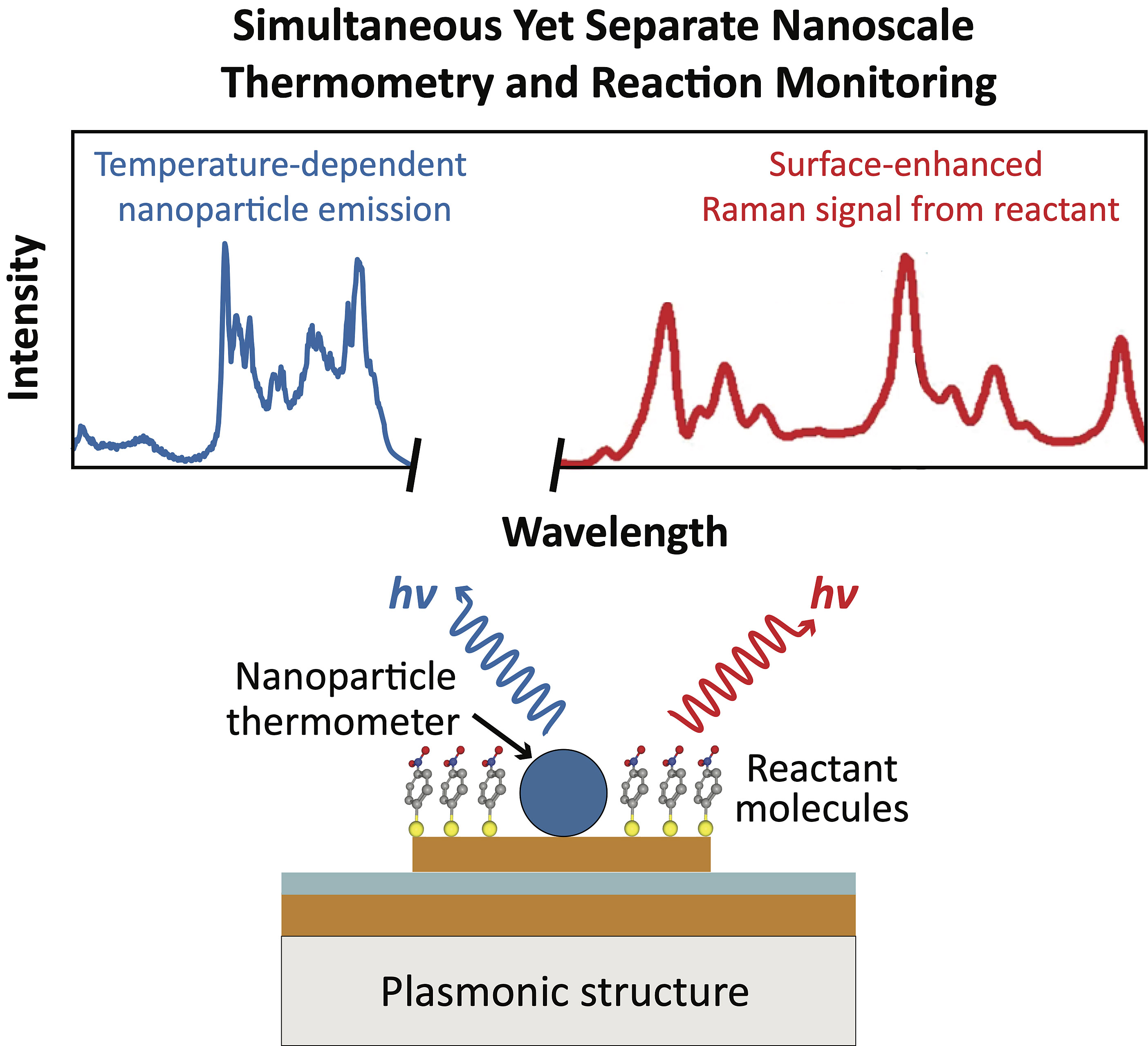 A chart showing simultaneous yet separate nanoscale thermometry and reaction monitoring.