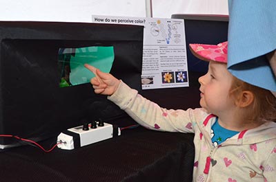 A child looking at an exhibit.