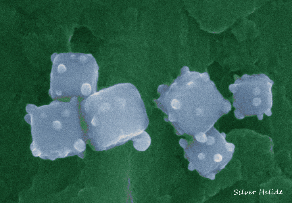 Colorized SEM image