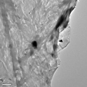 Created by Digital Micrograph, Gatan Inc.