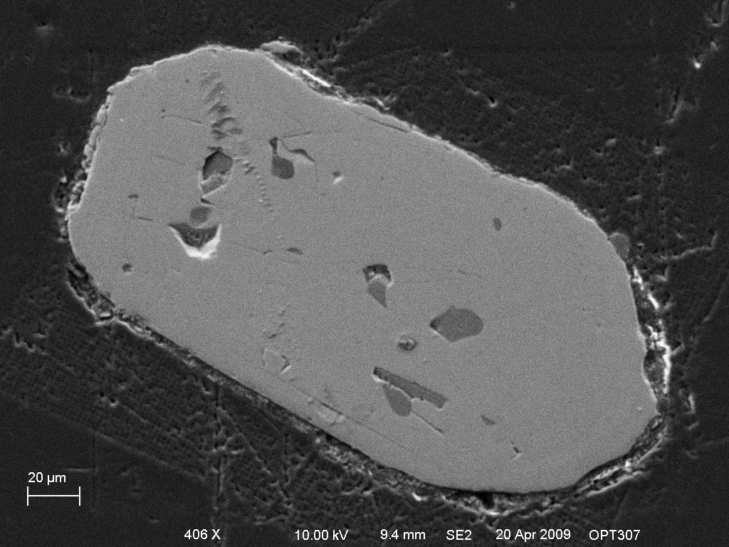 zircon 5 whole