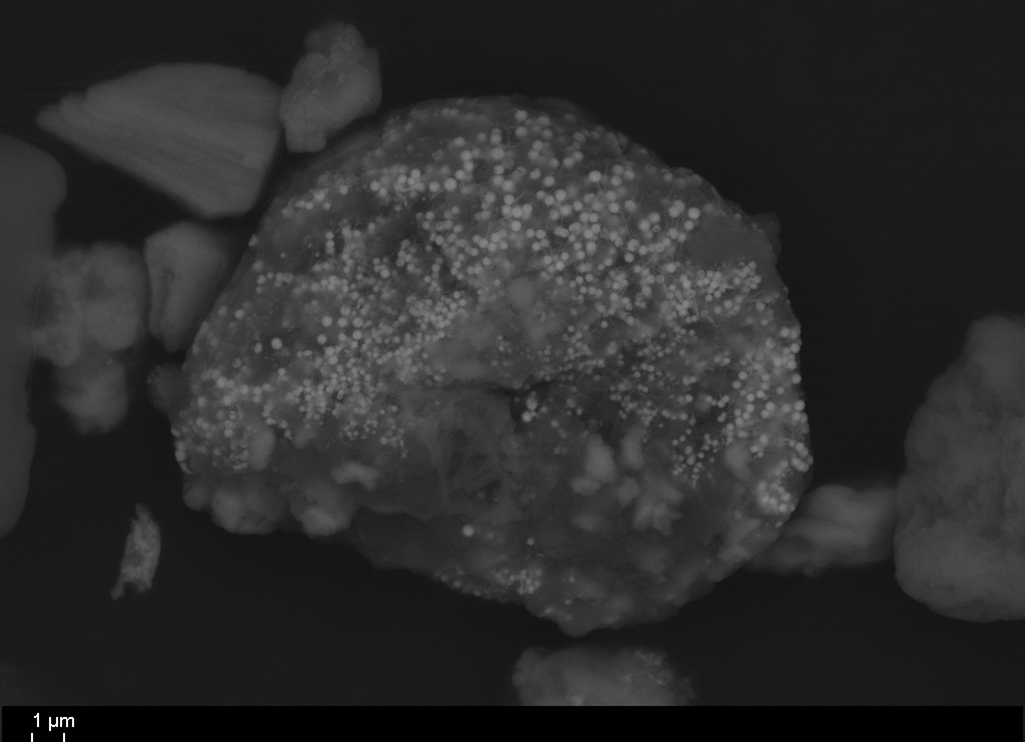 Figure 19