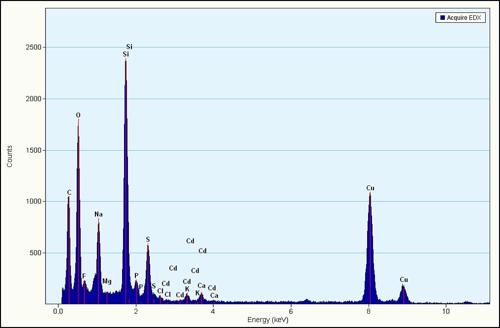 Figure 25