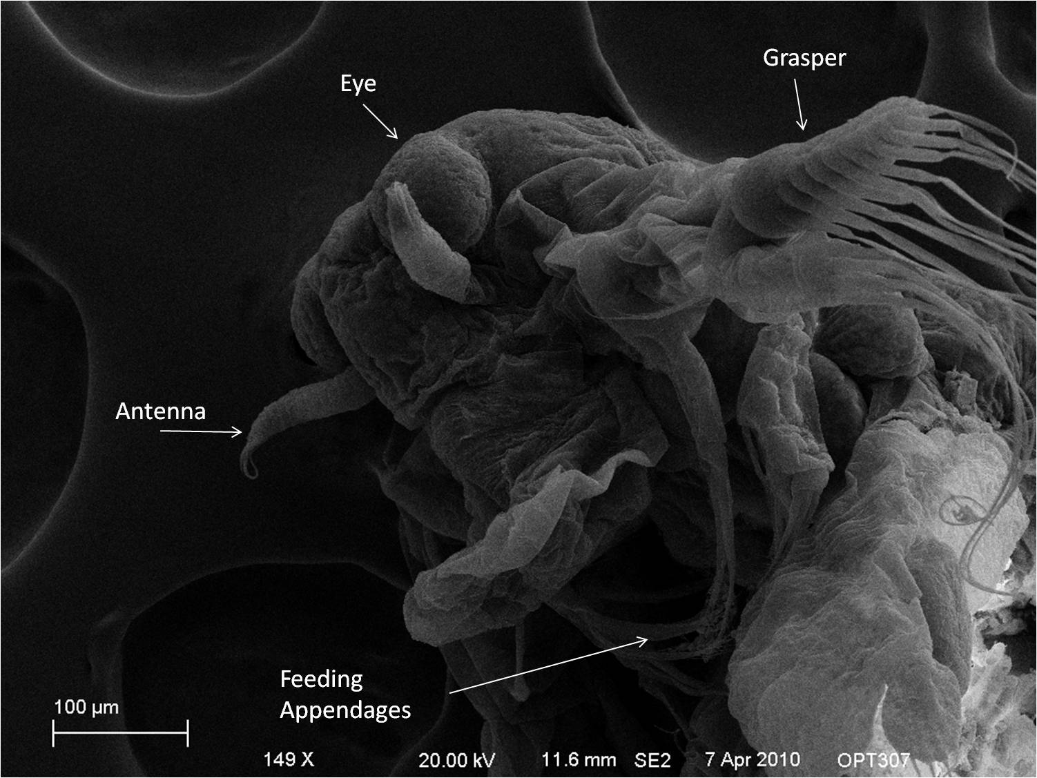 Fig 5