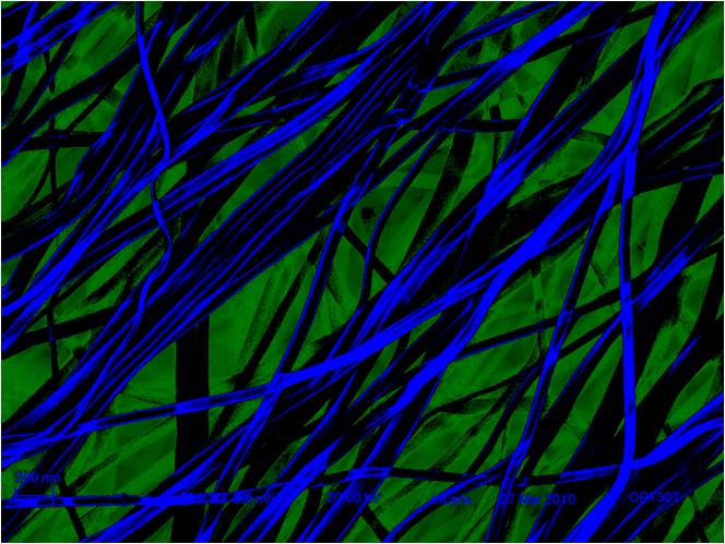Colorization of SEM micrograph using Photoshop