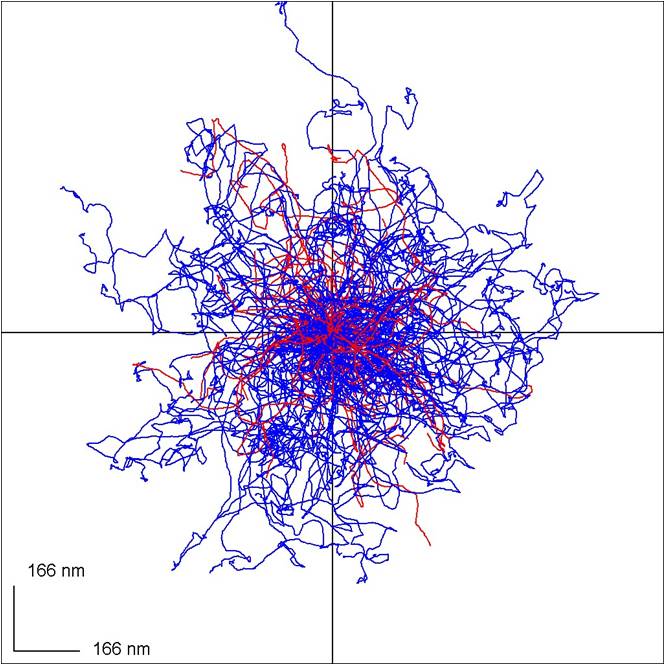 X-Y Plane (the plane of the sample)