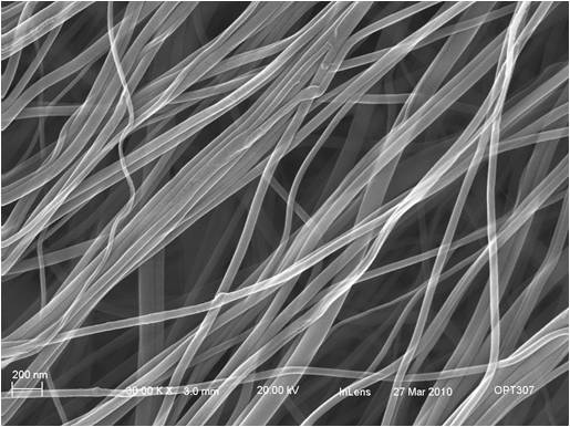Pt-Fe nanowire