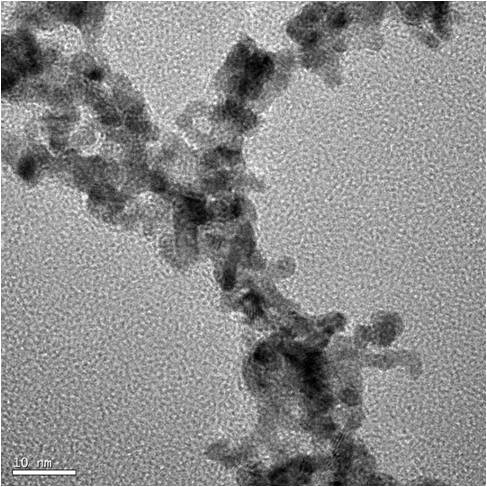 : Low magnification TEM image of PtFe3 Porous Nanowires