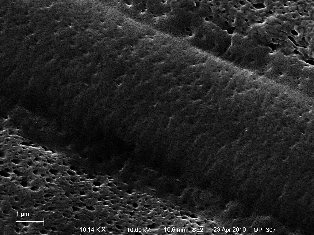 Pore structure