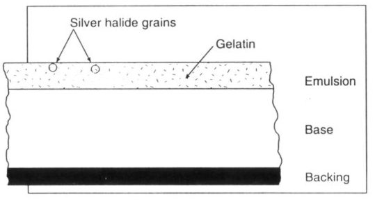 B&W cross section