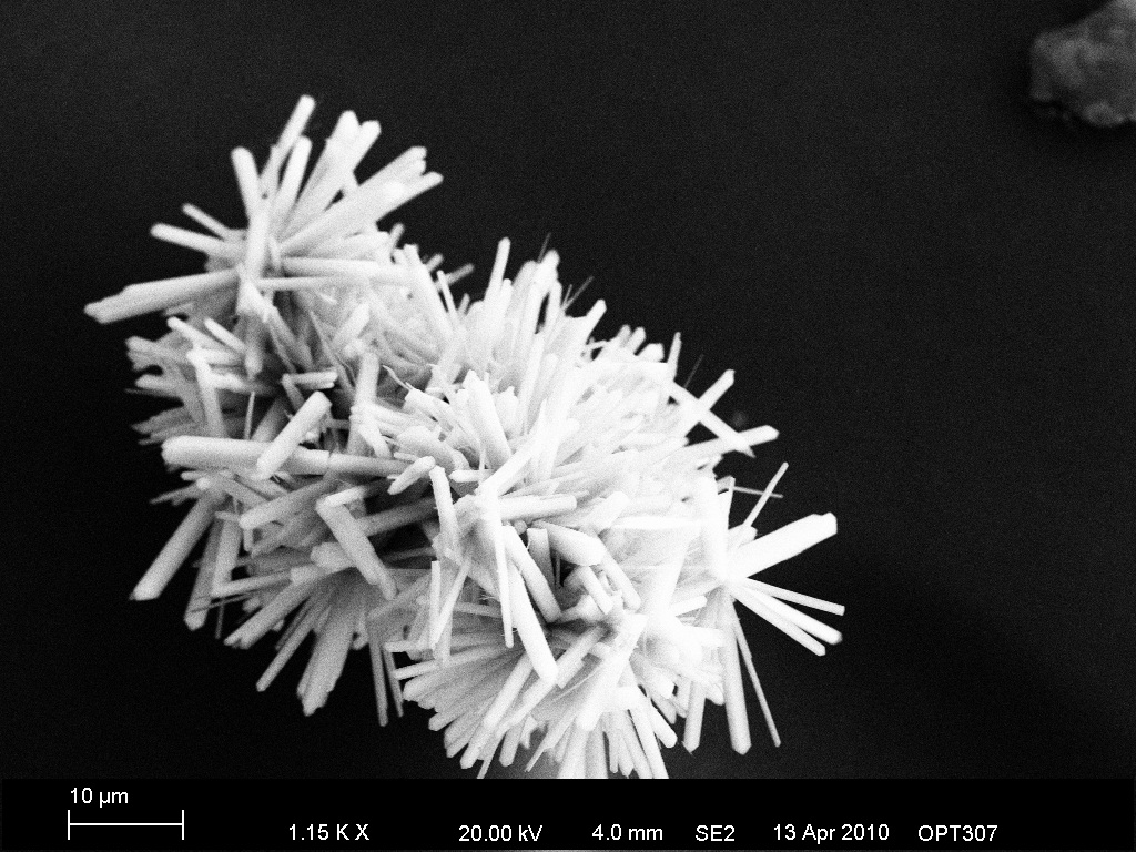 Ca, P compound