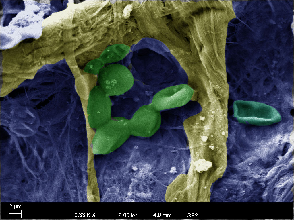 Co2 Critical point