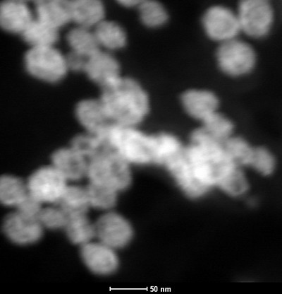 B1 STEM