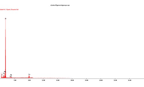 B1 SEM spectrum