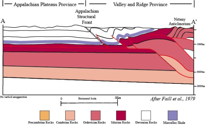 cross section