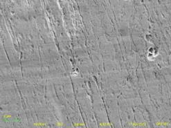 MolyO2-100nm5k