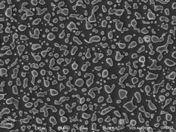 12nm-25kx